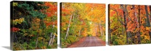 Michigan, Copper Harbor, road