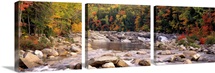 New Hampshire, White Mountains National Forest, River flowing through the wilderness