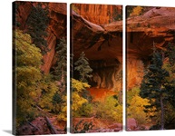 Trees in front of a cave, Zion National Park, Utah