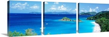 Trunk Bay St John Virgin Is West Indies