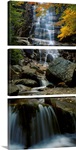 Waterfall in a forest, Arethusa Falls, Crawford Notch State Park, New Hampshire, New England
