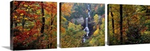 Waterfall in a forest, Raven Cliff Falls, Sumter National Forest, Greenville County, South Carolina