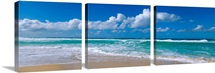 Waves crashing on the beach, Sunset Beach, Oahu, Hawaii