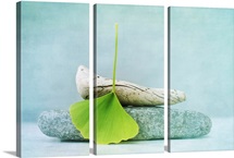 Wood, Stone And A Gingko Leaf