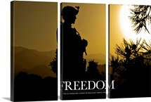 Military Motivational Poster: Freedom