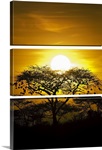 African Sky