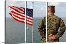 A soldier stands at attention on USS Bonhomme Richard