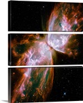 The Butterfly Nebula
