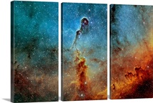 The Elephant Trunk Nebula