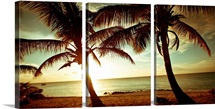 Bimini Sunset