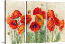 Vibrant Poppies