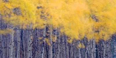Aspen Wall Art Canvas Prints Aspen Panoramic Photos Posters Photography Wall Art Framed Prints Amp More Great Big Canvas