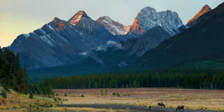 rockies canadian alberta canada scenery region panoramic jasper banff