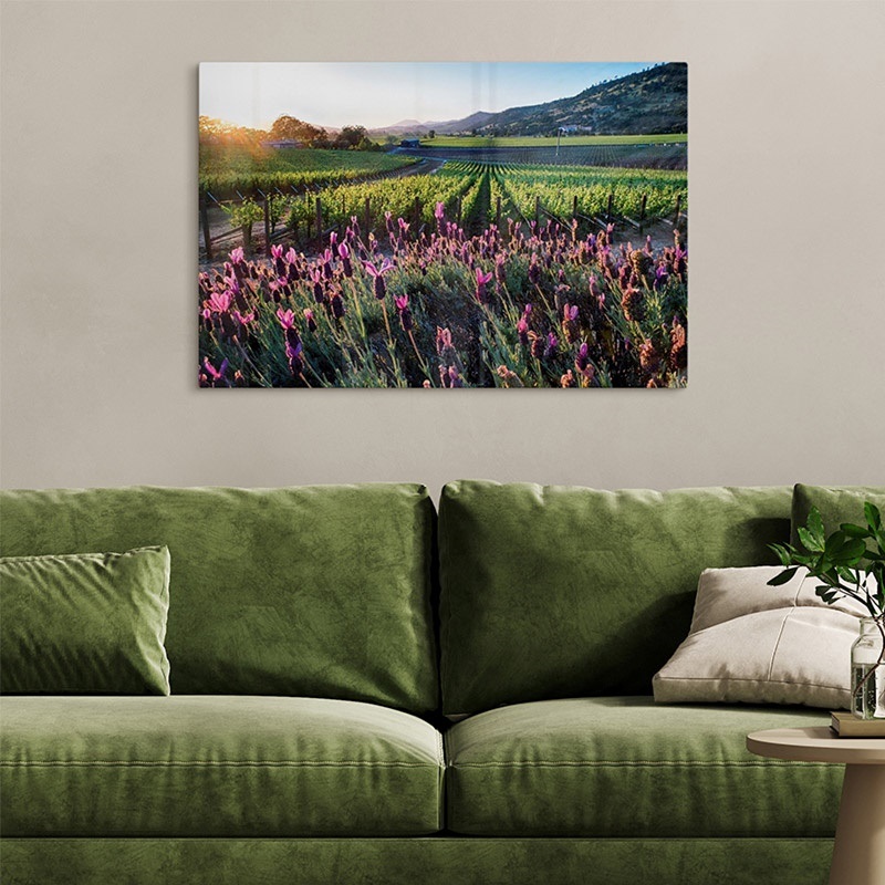 a photograph of flowers in a field hanging above a green couch