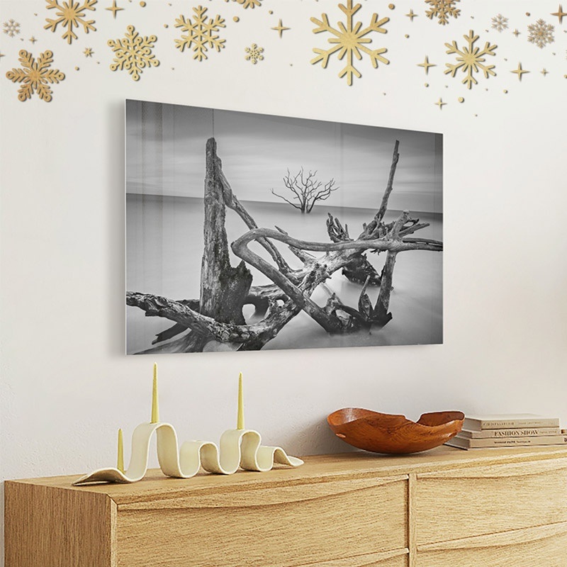 metal print of black and white photo of coastal driftwood hanging above a dresser