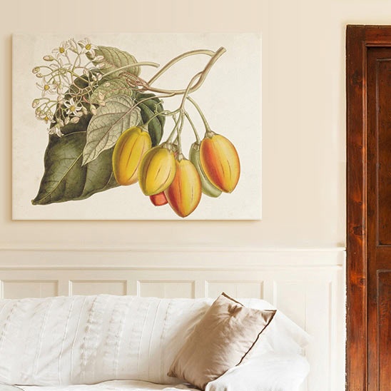 Plant Art in a Traditional Living Room