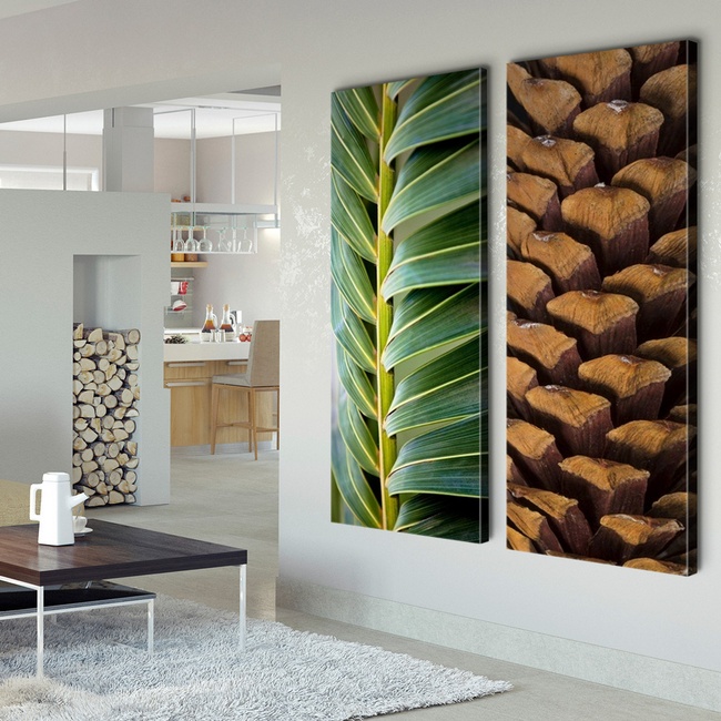 Stunning Macro Photography in a Modern Living Room