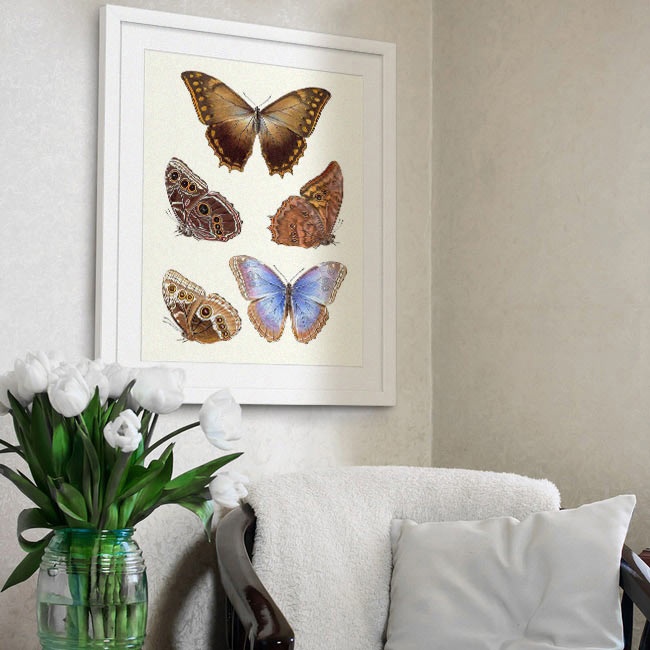 Living Room with Traditional Butterfly Art