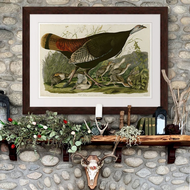 Farmhouse Living Room with Walnut Framed Avian Print