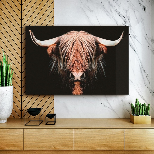 Longhorn Art in a Modern Living Room