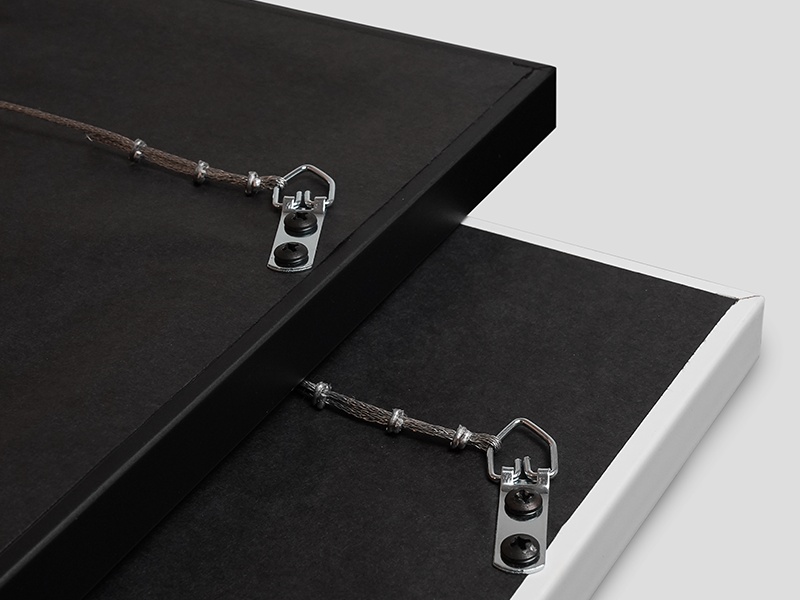 Image showing hanging hardware. All framed prints include D-ring and wire hanger.