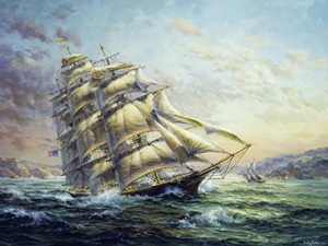 Clipper Ship Surprise by Nicky Boehme
