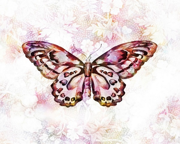 Flutterfly I