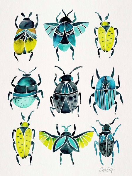 Lime Turquoise Beetle Collection