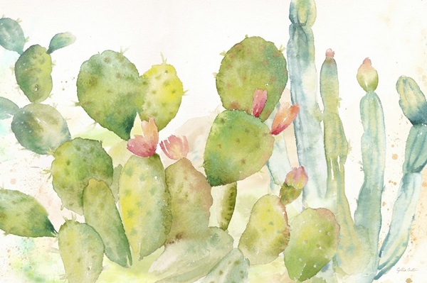 Cactus Garden Landscape