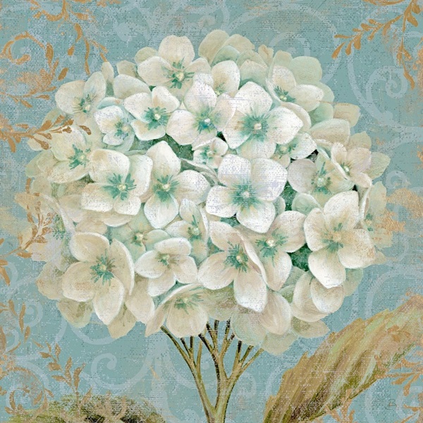 Hydrangea Square II