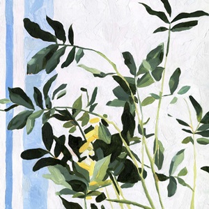 Indoor Plant I by Emma Scarvey
