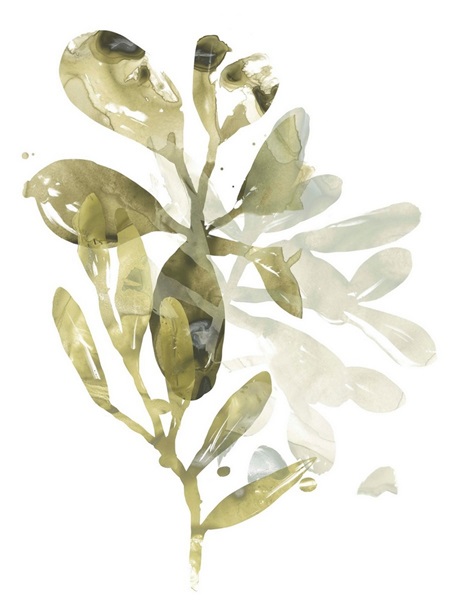 Leaf Printing- Stunning Watercolor Botanical Prints - The Kitchen