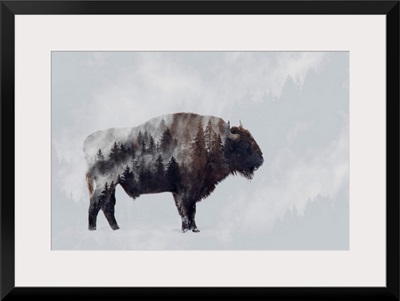Bison - Double Exposure