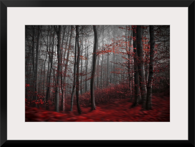 Blurred motion image of a forest in the fall, with red leaves on the ground resembling a river.