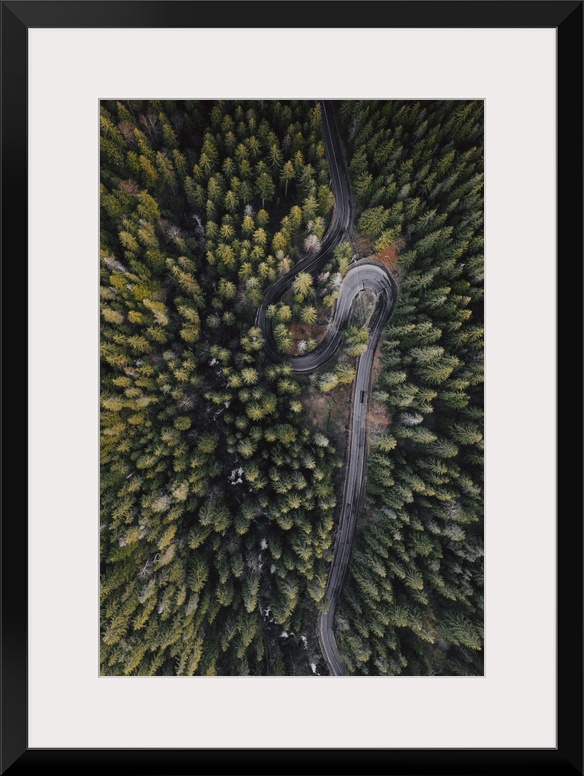 Drone view of winding forest road.