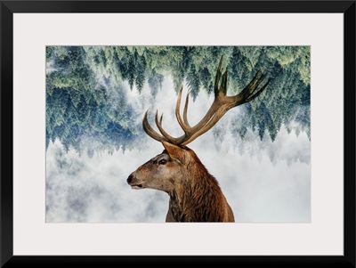 The Deer And The Woods