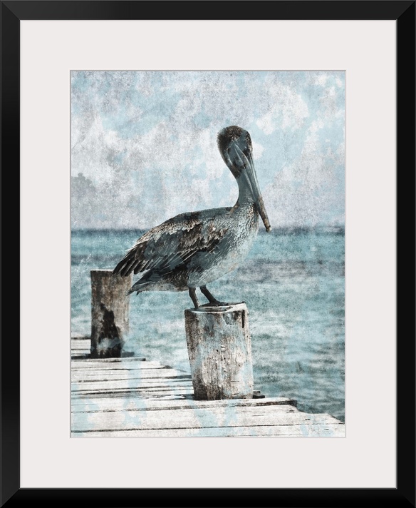 Black and white photograph of a pelican standing on a dock with light blue tones painted on top.