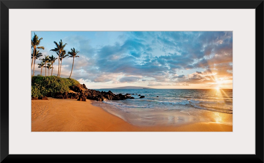 This panoramic landscape shows a small sandy beach lined with palm trees, an ocean with choppy waves, and a cloudy sky.