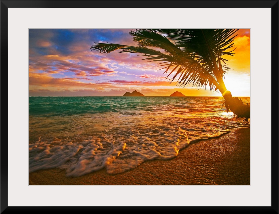 Horizontal, photographic wall hanging of a palm tree swaying over the shoreline of Lanikai Beach, Hawaii during a golden s...