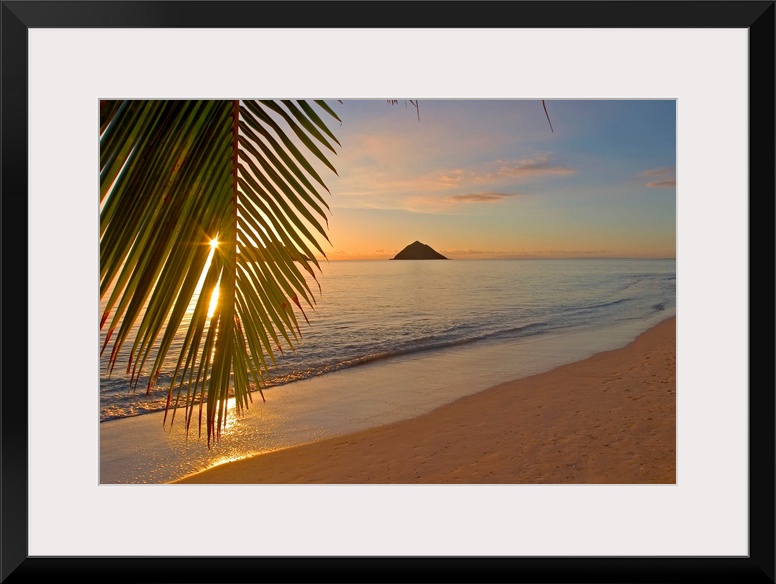 Photograph of beach at dawn with mountain silhouettes in distance.  There is a single palm tree leaf hanging  over half th...