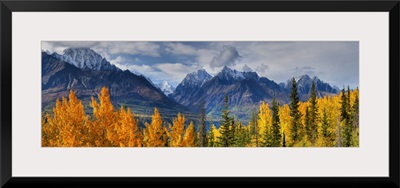 Panoramic View Of The Fall Foliage And Snowcapped Chugach Mountains, Alaska