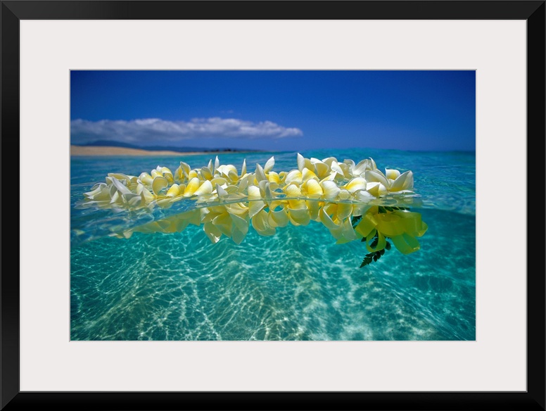 Horizontal photograph on a large wall hanging of a lei of golden plumeria flowers, floating on clear, blue ocean water ben...