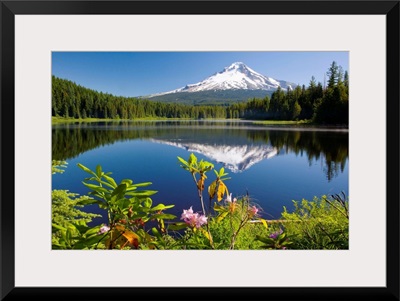 Reflection Of Mount Hood In Trillium Lake In The Oregon Cascades; Oregon