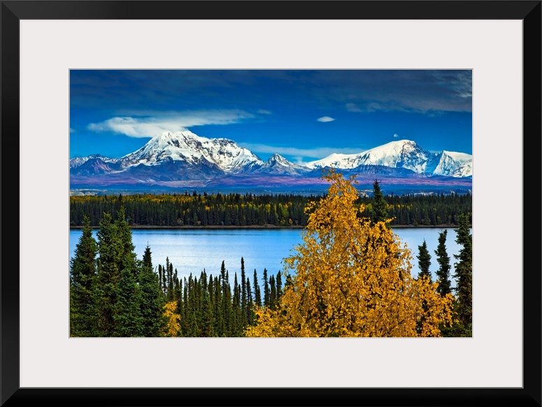 Huge photograph showcases a thick forest occupied with an abundance of trees surrounding a lake.  In the background there ...