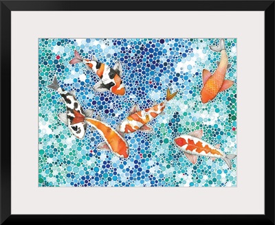 Koi