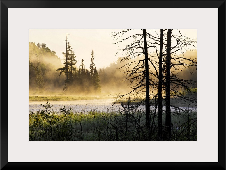 Big photo on canvas of a forest landscape covered in fog and bathed in various places with warm sunlight.