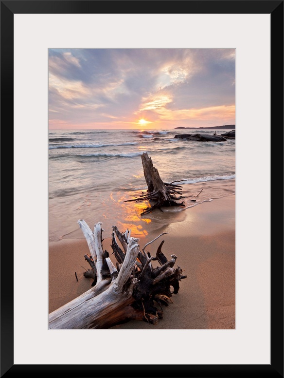 Pastel scene of two large pieces of sea bleached driftwood, lining up with the setting sun as shallow waves form in the oc...