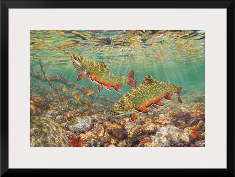 River Light - Brook Trout