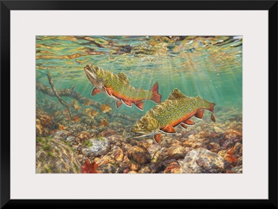 River Light - Brook Trout