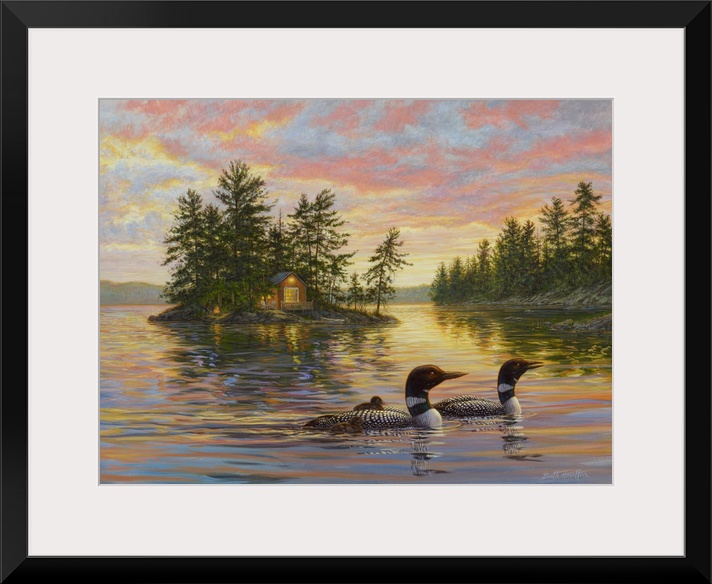 Tranquil Evening - Loons